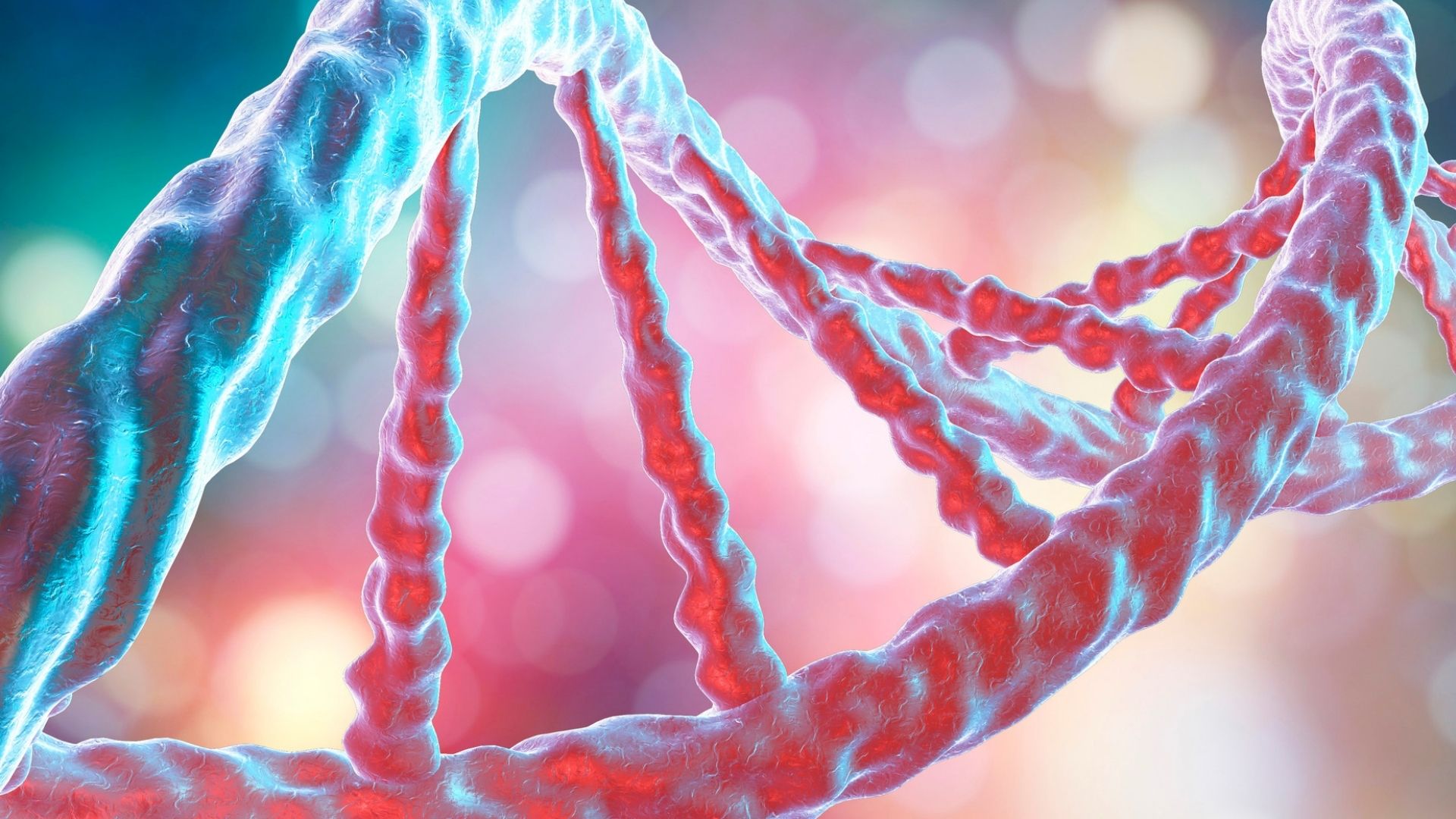 Genetik Hastalıkların Belirlenmesinde DNA'nın Rolü